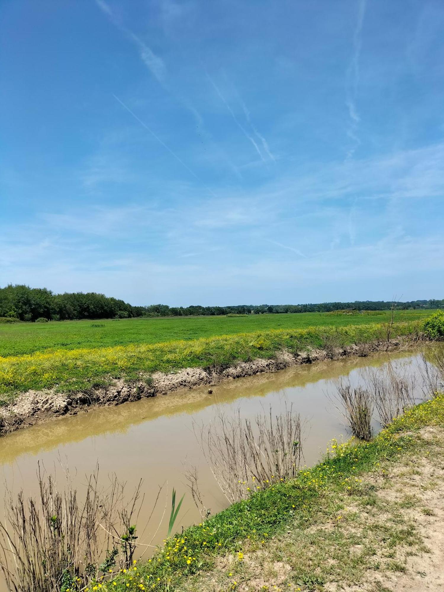 Studio Proche Des Thermes, Des Barthes, Des Plages Et De Dax ! 索比斯 外观 照片